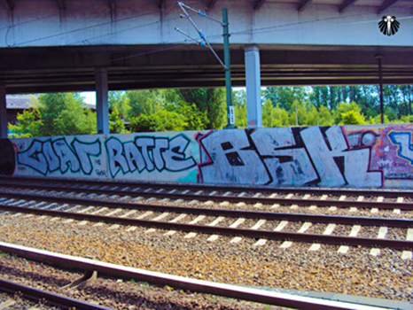 Parece com as linhas de trem de São Paulo! Thumb