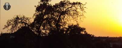 Por do Sol - vista da varanda