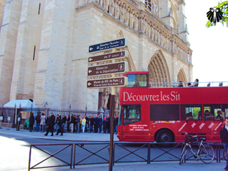 Catedral de Notre Dame. Thumb