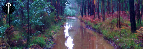 Welcome to the jungle!