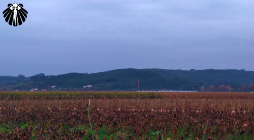 Vista da etapa entre Coimbra e Mealhada.