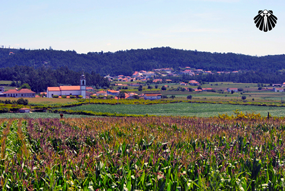 Vista da igreja Paroquial de Pereira.
